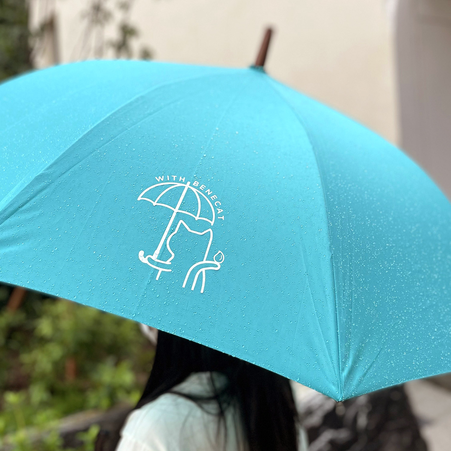베네캣 장우산